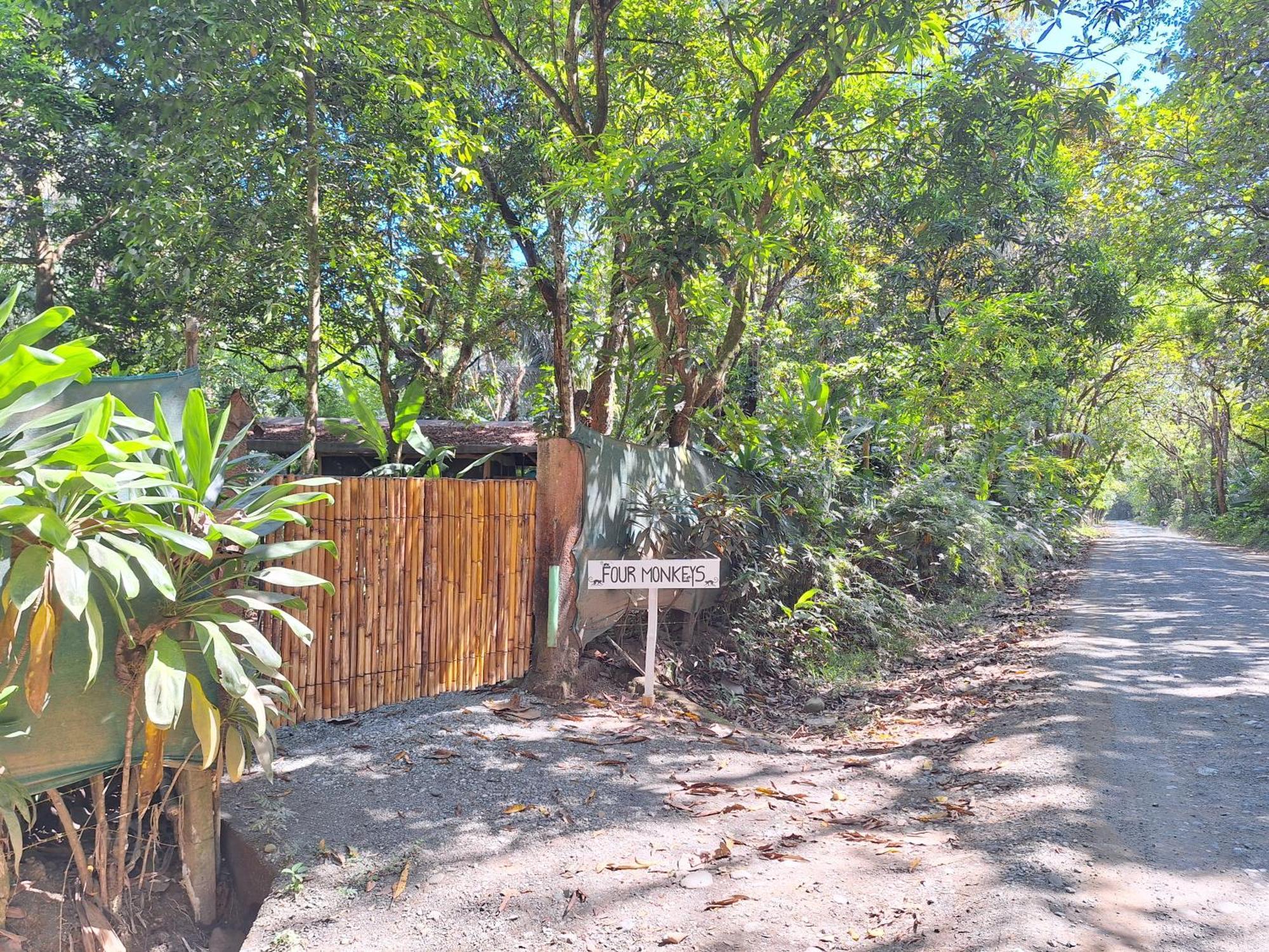 Four Monkeys Eco Lodge - Jungle & Beach Cabo Matapalo Zewnętrze zdjęcie