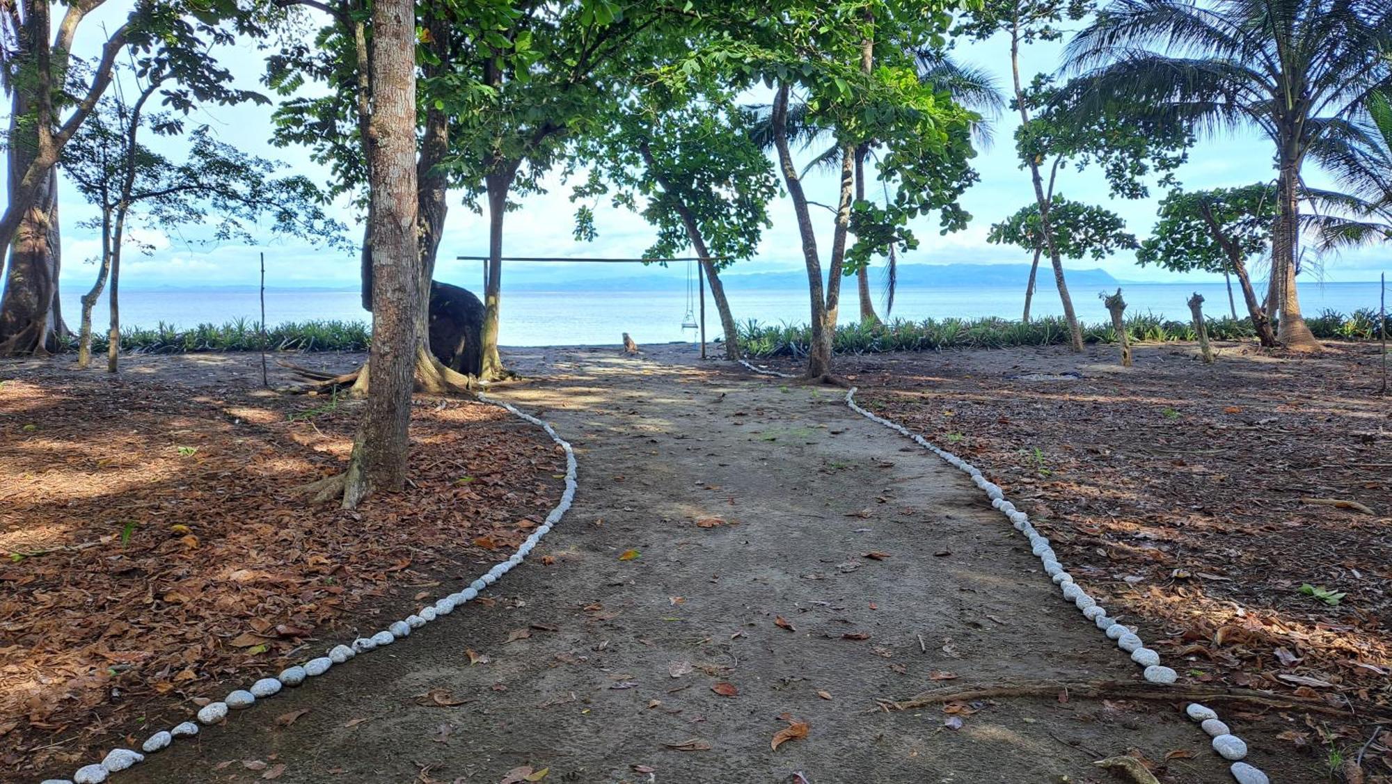 Four Monkeys Eco Lodge - Jungle & Beach Cabo Matapalo Zewnętrze zdjęcie