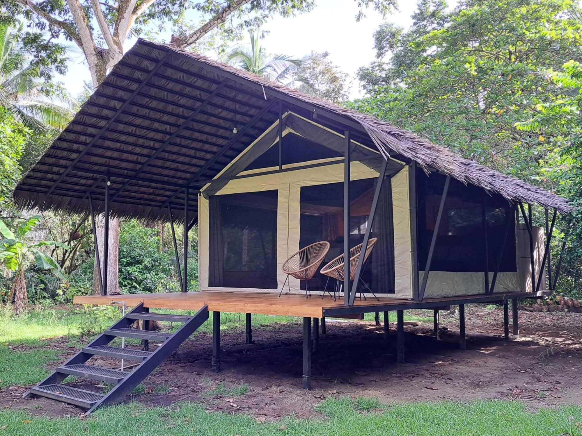 Four Monkeys Eco Lodge - Jungle & Beach Cabo Matapalo Zewnętrze zdjęcie